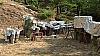 solofra_sant_antonio_2012_015.jpg