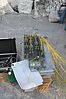 fireworks_sangiovanniformia_2015_023.jpg